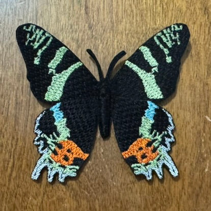 Embroidered Sunset Moth Magnet