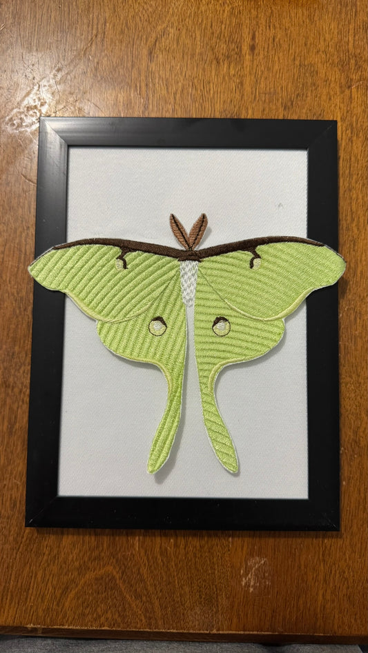 Embroidered Luna Moth Magnet